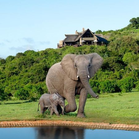 Hopewell Private Game Reserve Buyskloof Extérieur photo