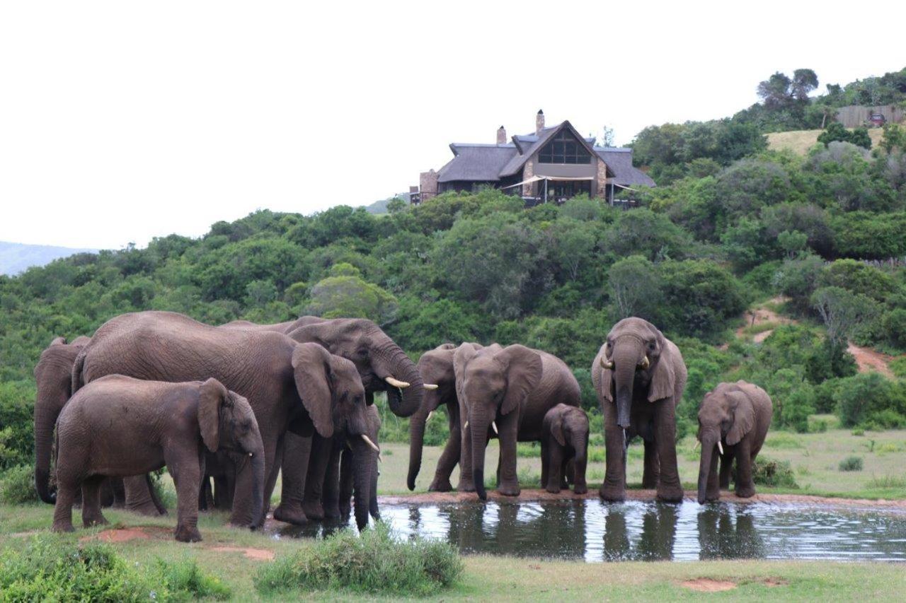 Hopewell Private Game Reserve Buyskloof Extérieur photo