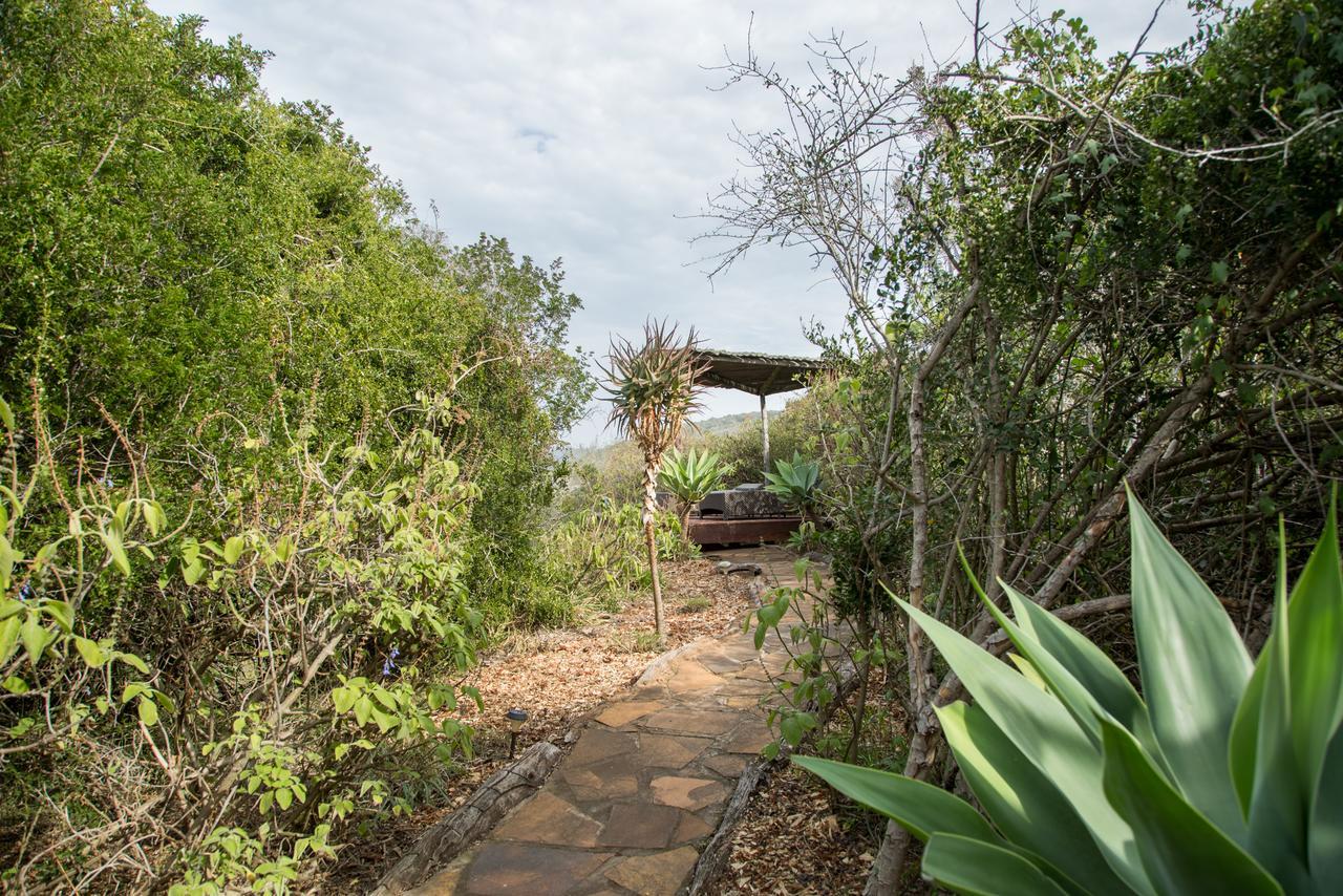 Hopewell Private Game Reserve Buyskloof Extérieur photo